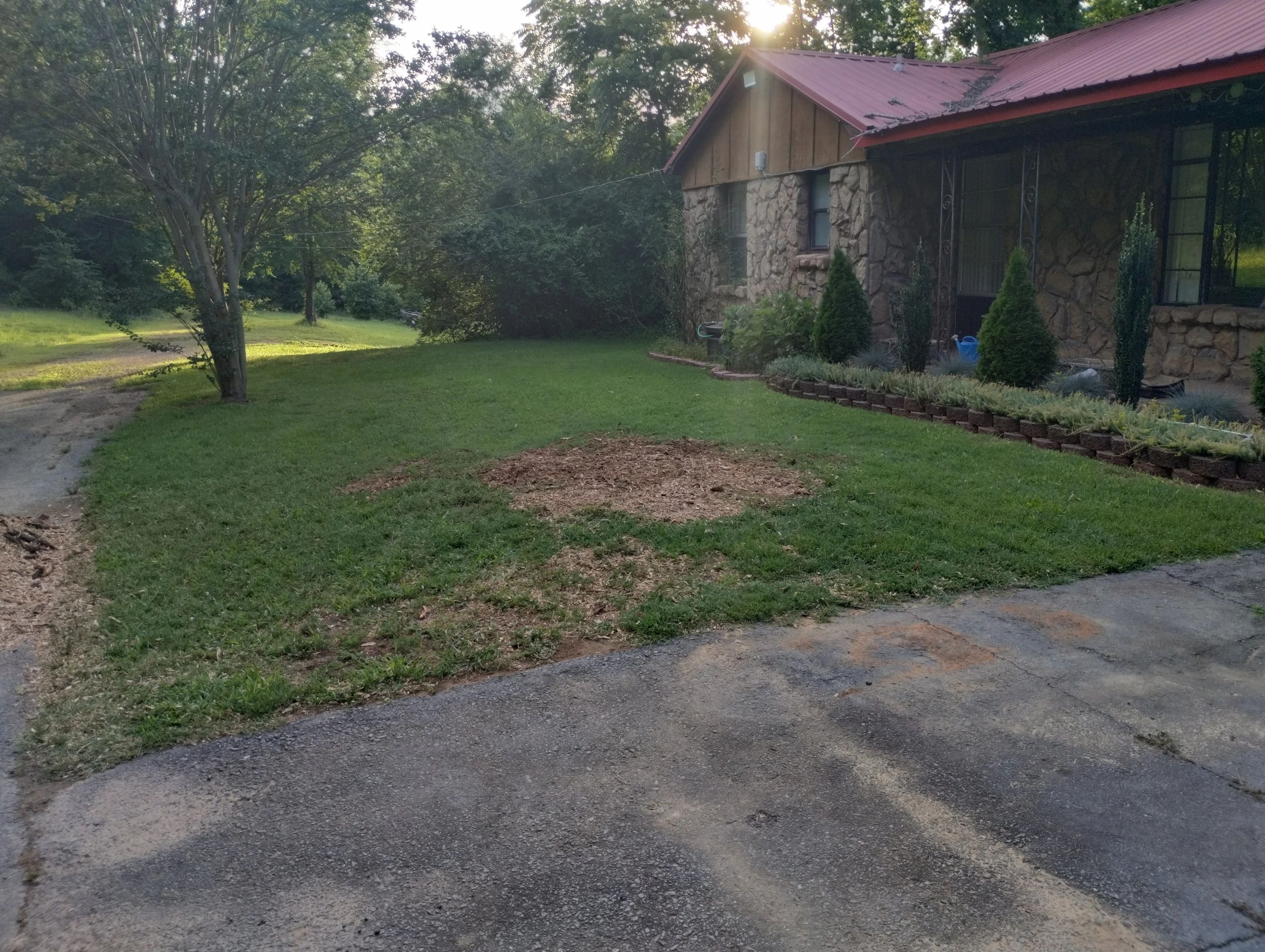 Residential stump grinding service in Jacksonville AR