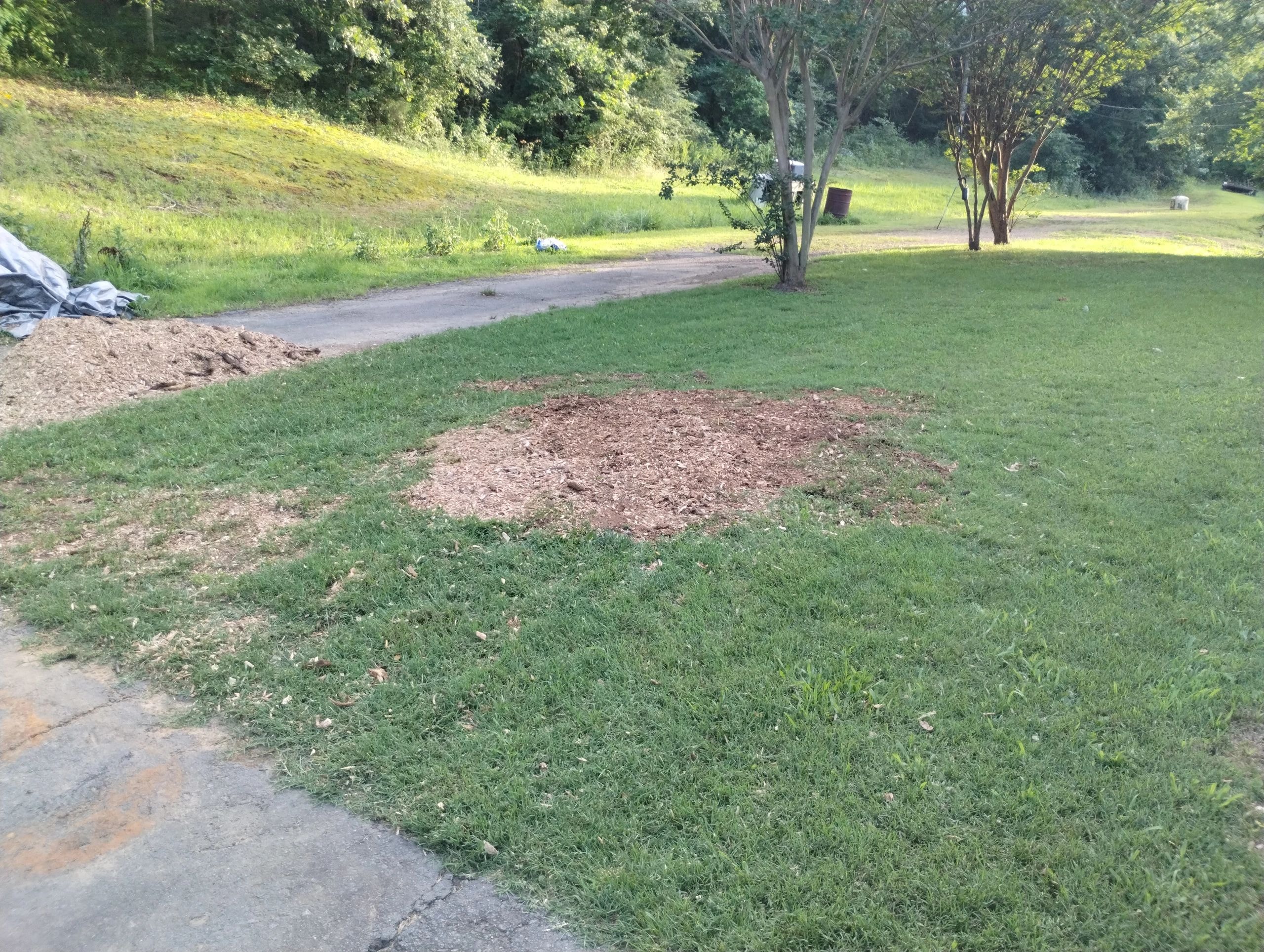 Clean yard after professional stump grinding