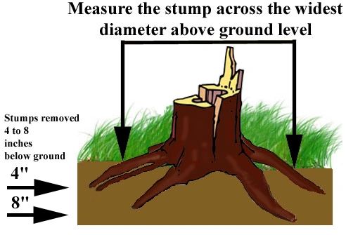 Stump grinding depth diagram showing stumps removed 4 to 8 inches below ground level